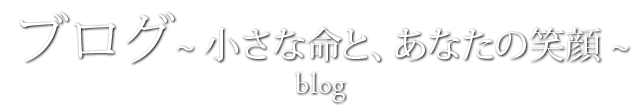 寒い時期の妊活レシピ3