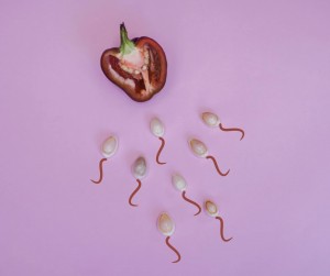 Untitled design